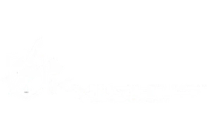 Knights